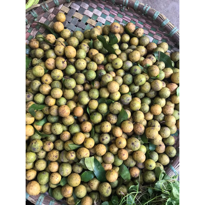 Sấu tươi, Sấu tươi cạo vỏ hút chân không, Sấu đông lạnh - Ship hoả tốc Hà Nội