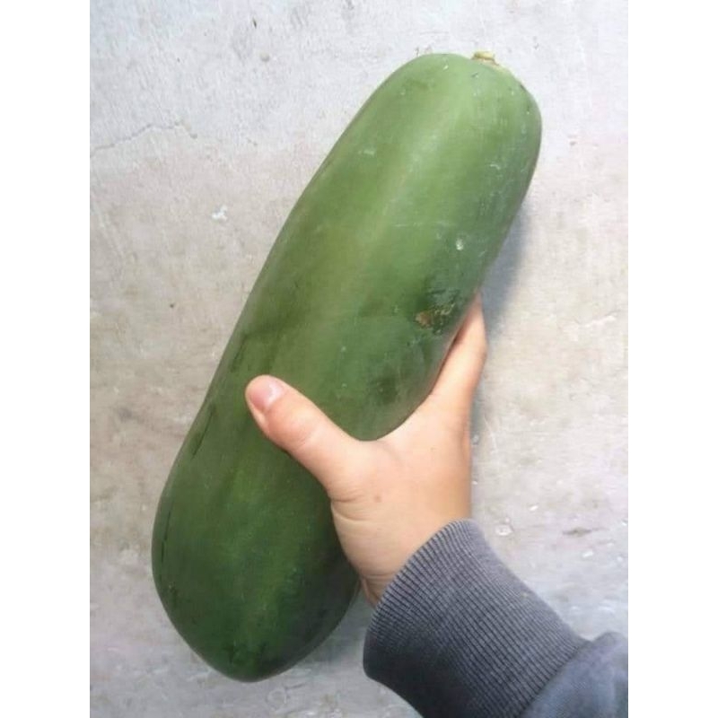 Đu đủ Thái lùn đỏ đặt ruột