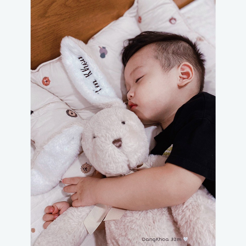 Thỏ Bông lông mềm thêu tên cho bé theo yêu cầu - Gấu bông thêu tên, gối ôm trẻ em dễ thương- Hàng có sẵn