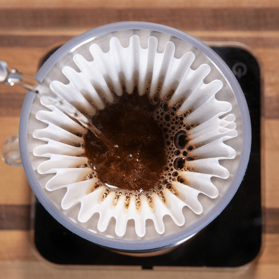 Phin Pha Cafe Espro Bloom Pour Over Coffee Brewer