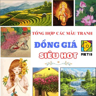 50+Mẫu tranh tô màu số hoá Metis đồng giá đầy đủ phụ kiện, căng khung sẵn màu chuẩn