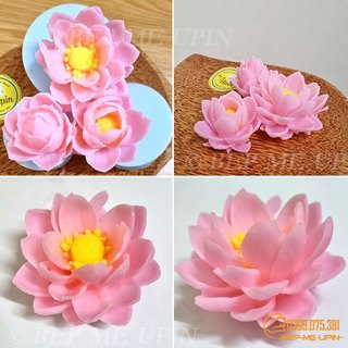 Set 3 khuôn hoa sen khuôn silicon làm rau câu mã HSG3