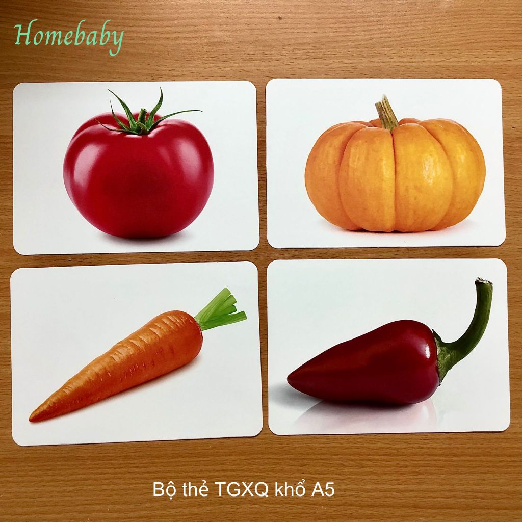 Bộ thẻ học Glenn Doman loại TO A5 15x21cm dạy bé học chữ cái, flash card tiếng Anh, dạy nhận biết về Thế giới xung quanh