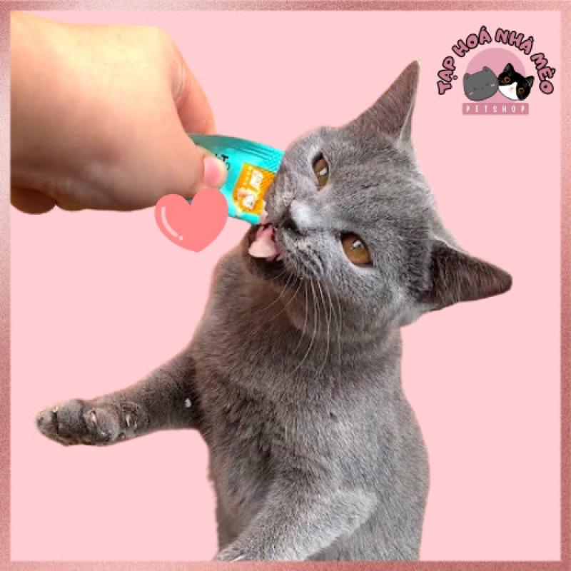 Combo 100 thanh súp thưởng cho mèo