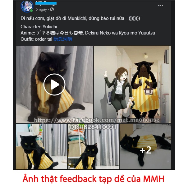 Tạp dề mèo Yukichi