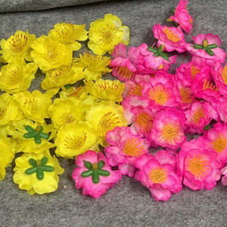 100g đầu bông hoa mai,hoa đào
