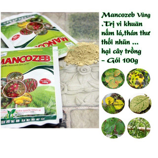 Mancozeb Vàng ngừa thối rễ,cháy bìa lá,ức chế sự phát triển của vi khuẩn nấm bệnh trên cây trồng