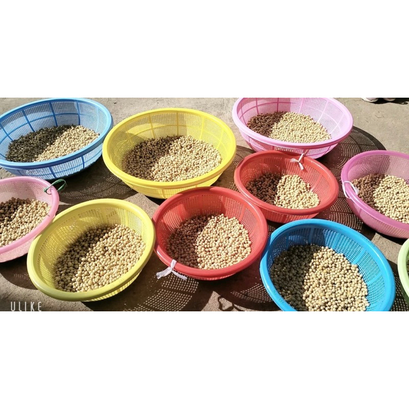 1Kg = 2 Hộp Bột đậu nành rang Xay siêu mịn,thơm nức