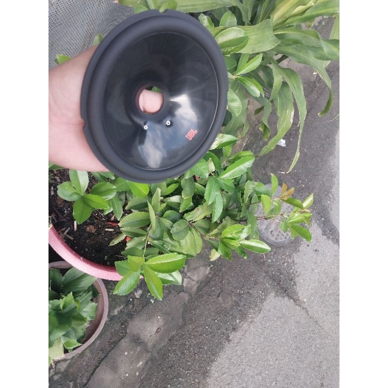 Màng loa chĩnh hãng JBL cho anh em thay thế sửa chữa loa hãng Side 150mm x 25.5mmx 3.5mm Hàng zin xịn xò bao đẹp & chất