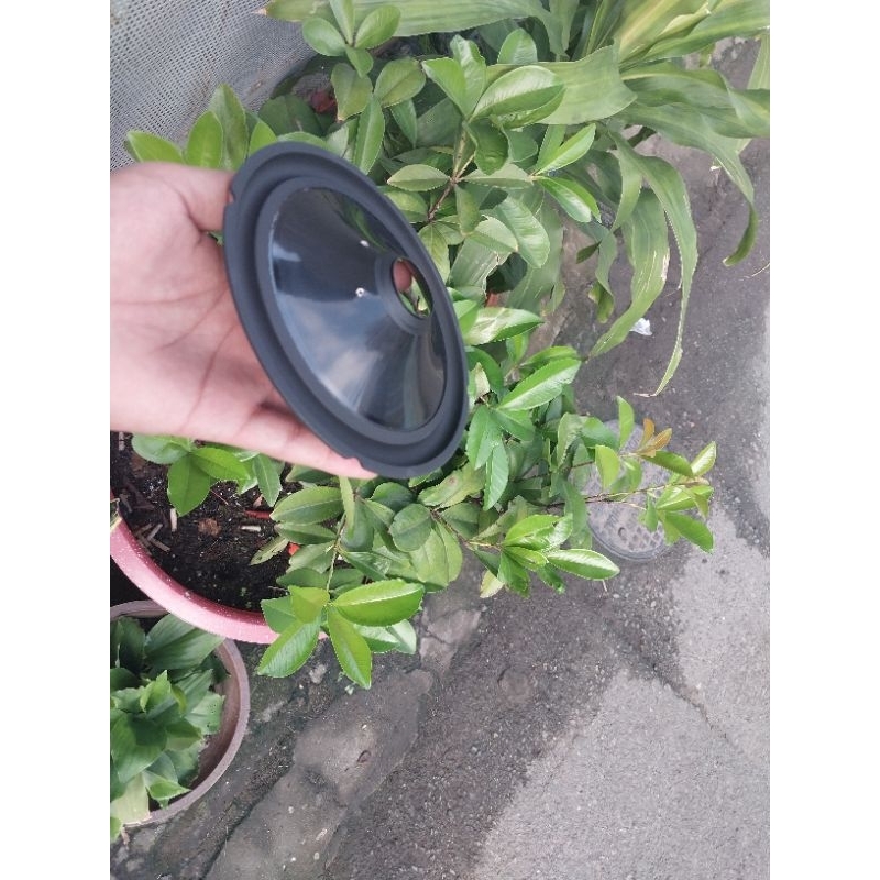 Màng loa chĩnh hãng JBL cho anh em thay thế sửa chữa loa hãng Side 150mm x 25.5mmx 3.5mm Hàng zin xịn xò bao đẹp & chất