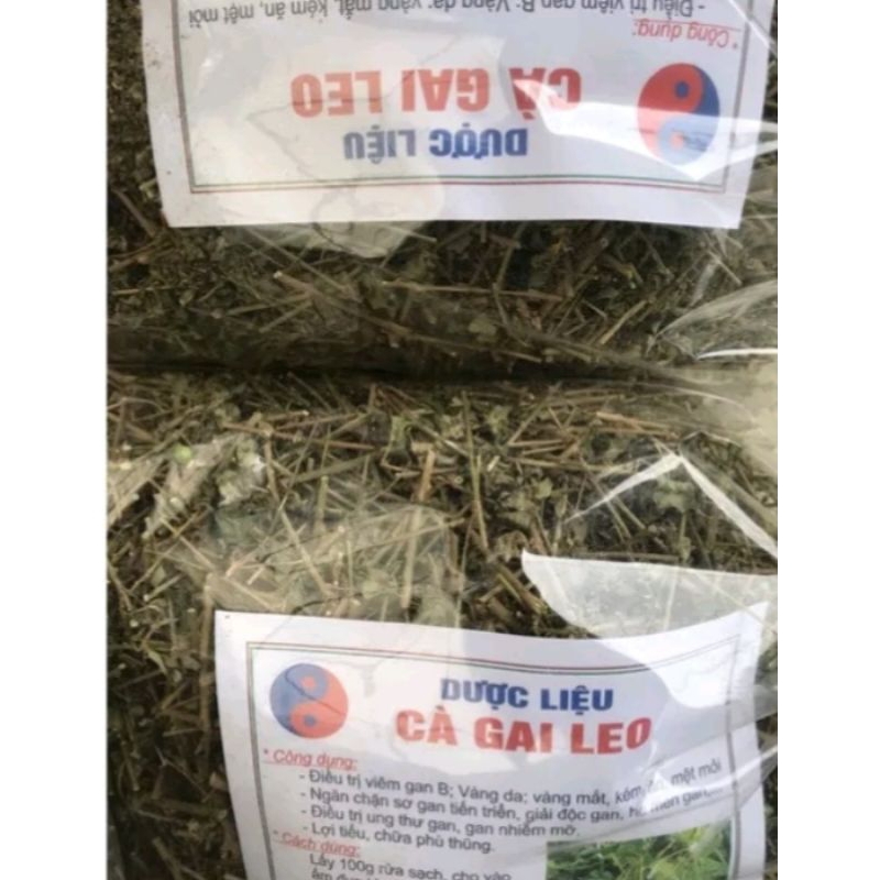 Cà gai leo khô vụ mới xanh đẹp 1kg