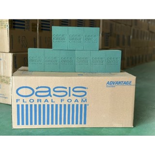 [ xốp oasia cắm hoa tươi, hoa sáp, hoa khô