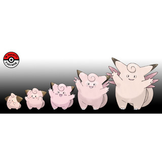 [Tổng hợp] Cleffa Evolution Collection