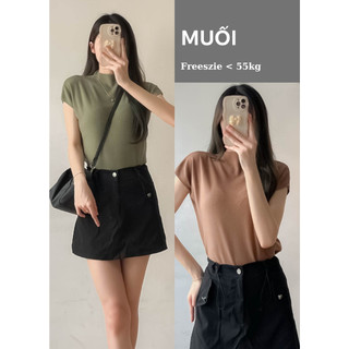 Áo len mỏng tay hến cao cổ màu patstel basic MUỐI Aolentayhen P11/K3
