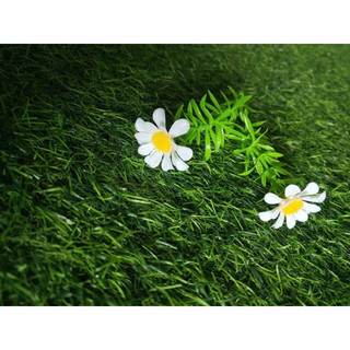 Sét 10 nhánh cỏ điểm hoa cúc họa mi, trang trí bó hoa , giỏ quà
