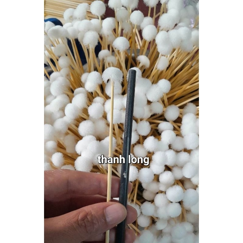 Bông se tai size nhỏ nhất.