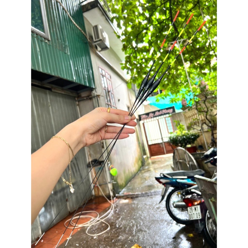 Phao Hố Đấu cao cấp Hắc Mã Liên ngày và đêm , chuyên cá nhát ,tự cân bằng không cần chì , thích hợp câu chép và săn hàng