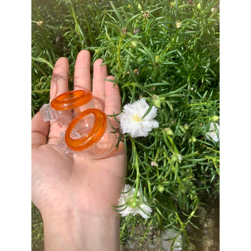 Cóng tắm,cóng ăn cho chim hút mật,yến hót-huýt cô-choè đất