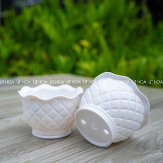 Chậu Quả dứa 140 trồng hoa kiểng để bàn dày dặn