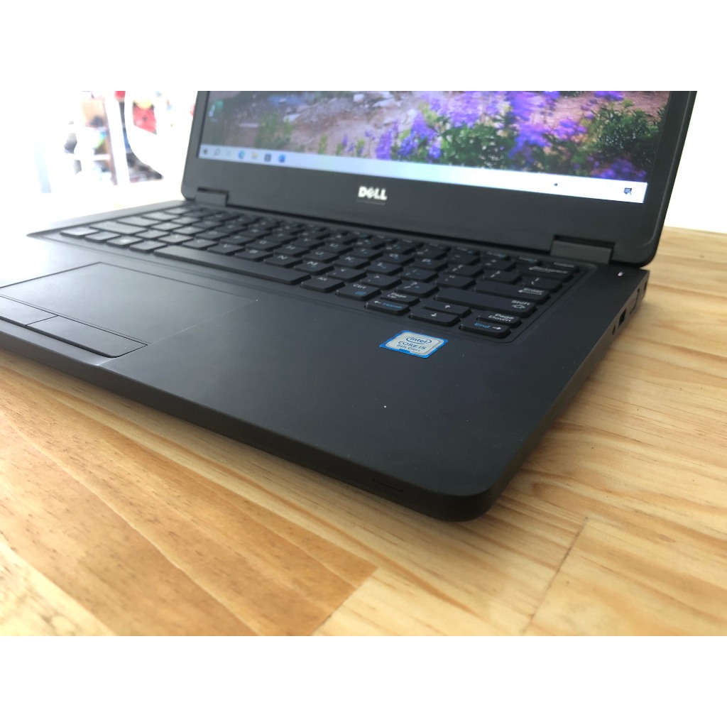 Đời cao thế hệ 8