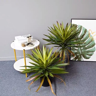 Cây giả cây phát tài núi, cây phát tài cao 58cm và 60cm cây trang trí decor