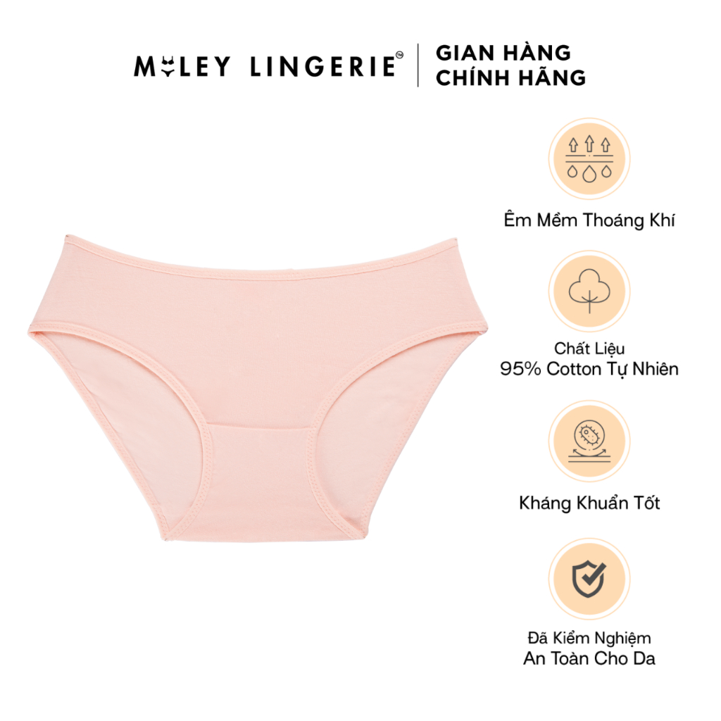 Quần Lót Cotton Lưng Cao Miley Lingerie FCS00 (Màu Ngẫu Nhiên)