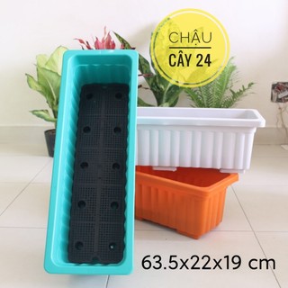 Chậu nhựa trồng cây hình chữ nhật Lớn (Kèm vỉ) chậu trồng rau, ươm hạt giống