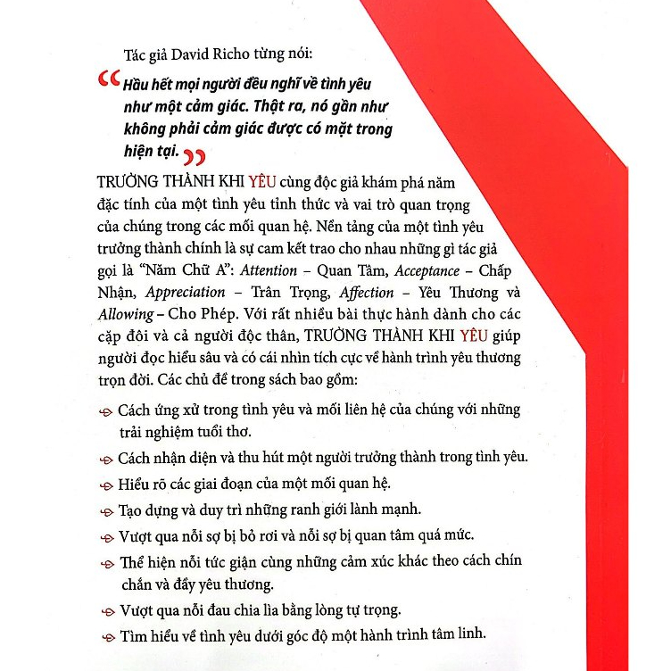 Sách - Trưởng thành khi yêu by David Richo