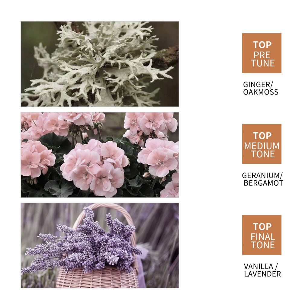 Serum mọc tóc tinh chất gừng Sedoer