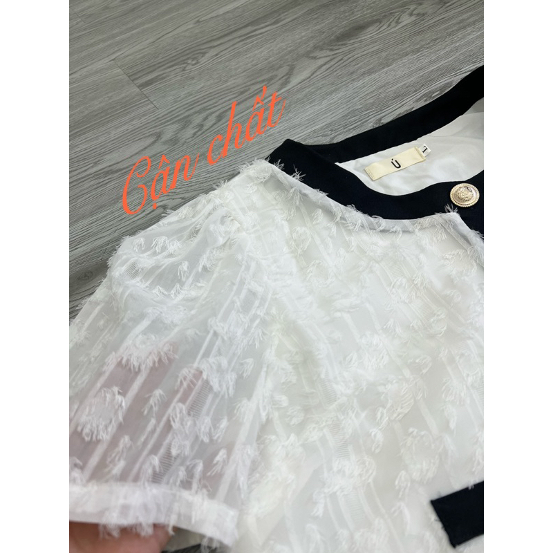 Set Chân Váy Bigsize 50-95Kg, tiểu thư dễ thương, năng động đi làm, đi chơi Cho Nàng-S41-Ú Xinh Store