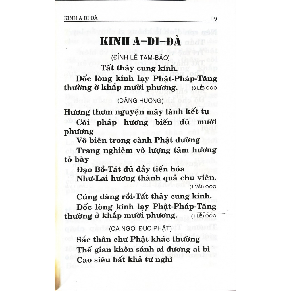 Sách - Kinh Chú Thường Tụng - Bìa mềm