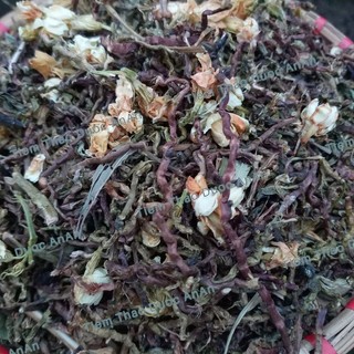 1Kg Trà Sơn Mật Hồng Sâm Tây Bắc