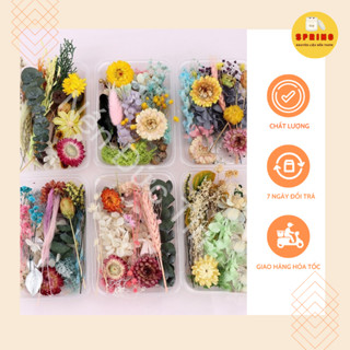 Hộp Hoa Khô Trang Trí SPRING Mix Nhiều Loại Hoa Lá Giá Rẻ - Nguyên Liệu Làm Nến Thơm