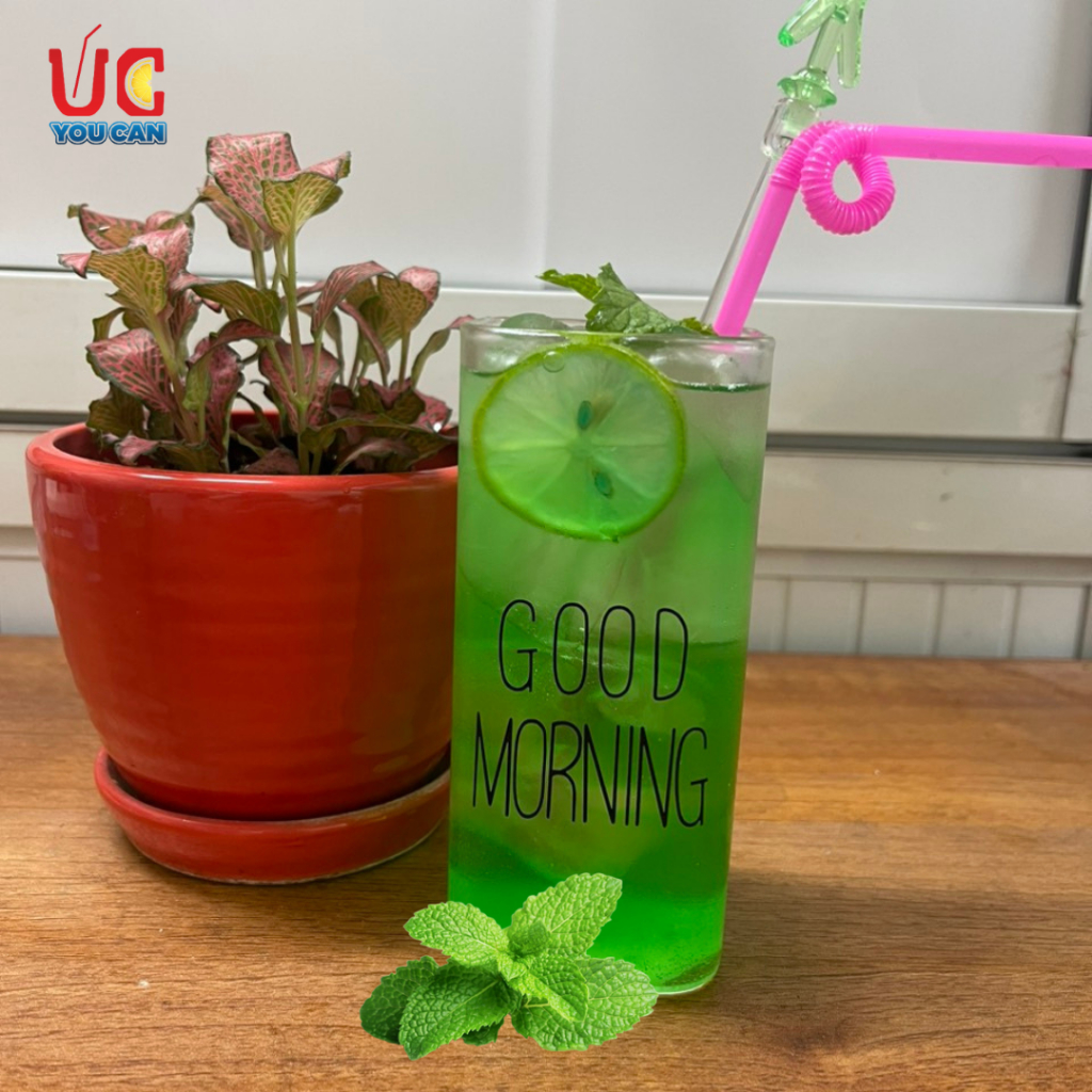 Soda Bạc Hà  Soda UC,Nước Uống Giải Khát Có Sẵn Gas, Không Cần Siro và Nước Có Gas,Đủ Vị,Thơm Ngon, Dễ Pha