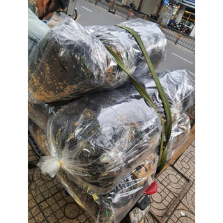 xá 5kg da heo, rong biển