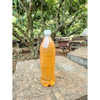COMBO 5L MẬT ONG HOA VẢI THIỀU LỤC NGẠN (TẶNG KÈM THEO 1LÍT)