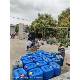 COMBO 5LÍT MẬT ONG HOA NHÃN ( TẶNG KÈM THÊM 1L)
