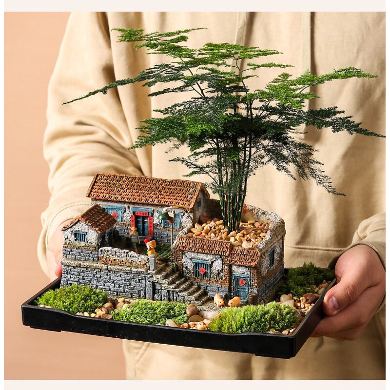 Chậu Ngôi nhà trồng cây kiểng tiểu cảnh thôn quê 31