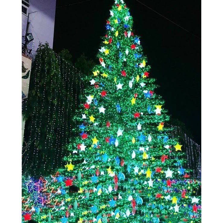 Đèn lồng nhựa Ngôi Sao xuyên sáng trang trí quán cafe, sân vườn, nhà hàng, đường phố, lễ hội,...