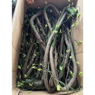 Dây lộc cổ giả gỗ_ dài 2m
