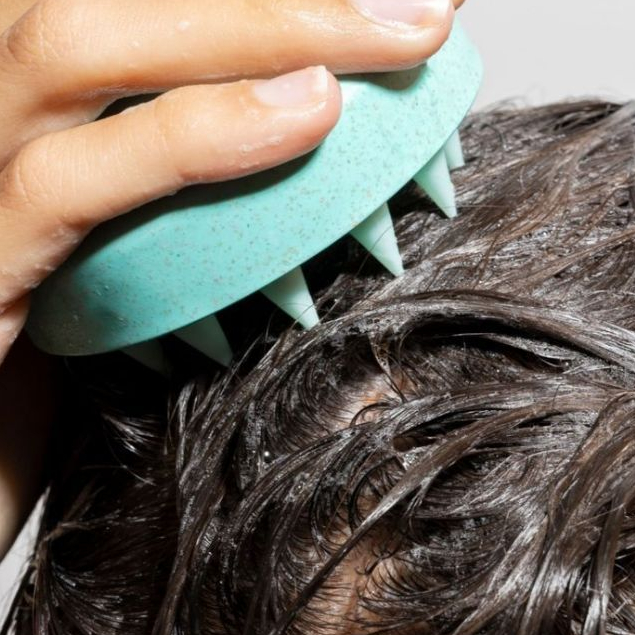 Lược gội đầu massage Baehair giúp làm sạch kích thích mọc tóc lưu thông khí huyết