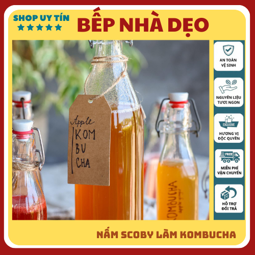 Nấm scoby Kombucha, Con giống Scoby kèm nước mồi