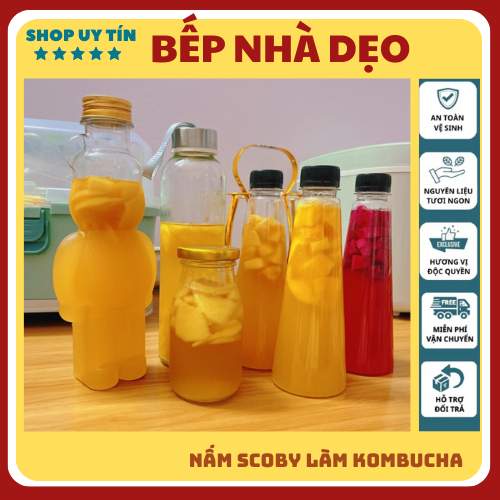 Nấm scoby Kombucha, Con giống Scoby kèm nước mồi