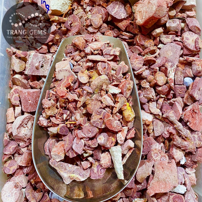 Vụn san hô đỏ đá thô