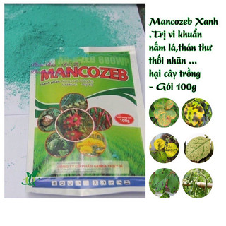 Gói 100g Thuôc Diệt Vi Khuẩn Nấm Bệnh Mancozeb Xanh Phổ Rộng,Bám Dính Mạnh,Tiếp Xúc Và Phòng Ngừa Nhiều Loại Cây Trồng