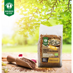 Hạt lanh vàng hữu cơ ProBios 500g