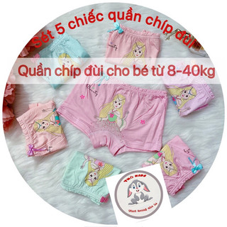 Sét 5 quần chíp đùi bé gái 100%cotton an toàn cho bé QTE01