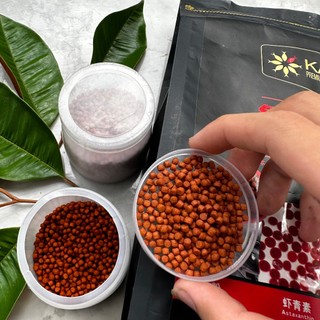 Thức ăn cho rùa cảnh cao cấp Kama
