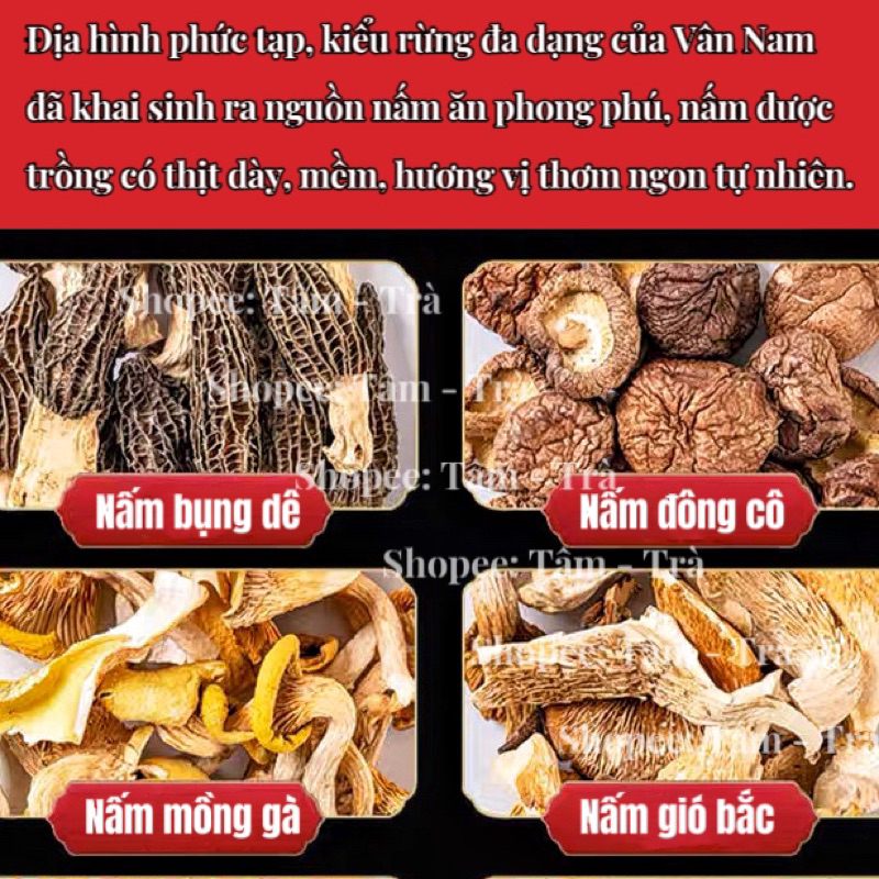 🍲 Gói hầm tiềm canh lẩu nấm Vân Nam 50g 🌱