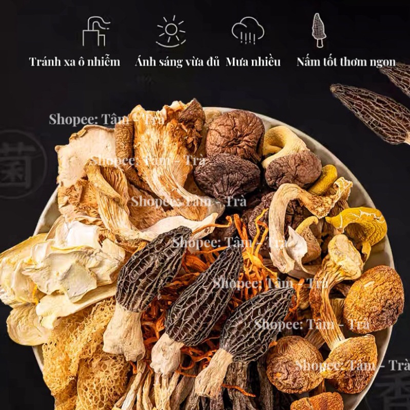 🍲 Gói hầm tiềm canh lẩu nấm Vân Nam 50g 🌱
